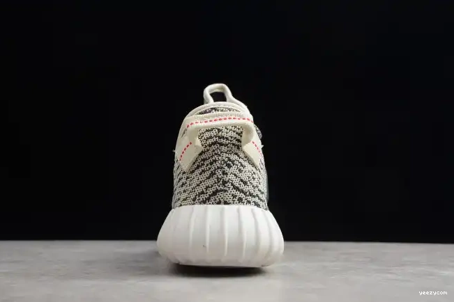 Dove YEEZY Adidas Turtle 350 Boost AQ4832 0507